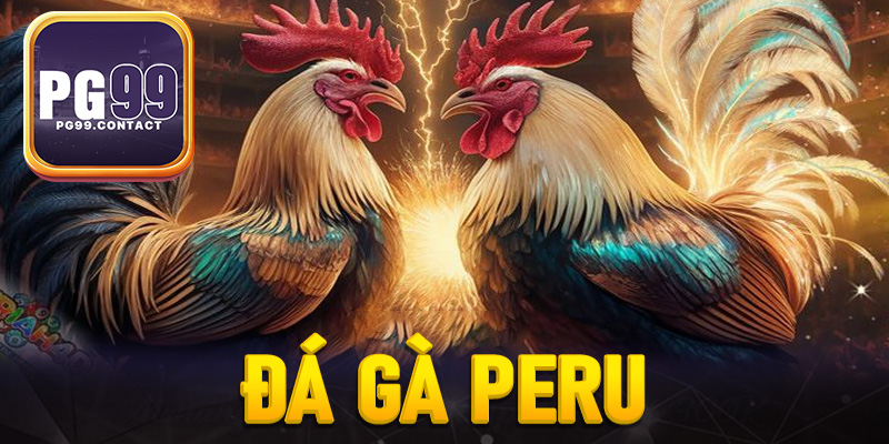 đá gà Peru