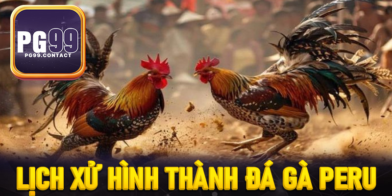 Lịch sử hình thành và xuất xứ đặc biệt của giống gà Peru